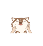 Taro Siberian Husky 1 (animated ver.)（個別スタンプ：1）