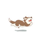 Taro Siberian Husky 1 (animated ver.)（個別スタンプ：11）