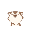 Taro Siberian Husky 1 (animated ver.)（個別スタンプ：12）