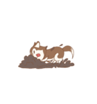 Taro Siberian Husky 1 (animated ver.)（個別スタンプ：15）