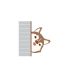 Taro Siberian Husky 1 (animated ver.)（個別スタンプ：18）