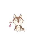 Taro Siberian Husky 1 (animated ver.)（個別スタンプ：21）