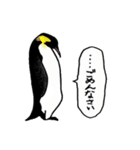 ペンギン コアラ パンダ（個別スタンプ：32）