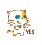 The orange ＆ white cat（個別スタンプ：4）