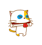 The orange ＆ white cat（個別スタンプ：11）