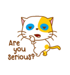 The orange ＆ white cat（個別スタンプ：13）