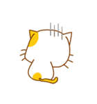 The orange ＆ white cat（個別スタンプ：20）