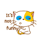 The orange ＆ white cat（個別スタンプ：24）
