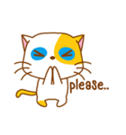 The orange ＆ white cat（個別スタンプ：35）