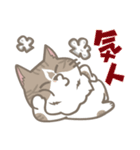 Shih Chien Big Cat（個別スタンプ：9）