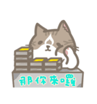 Shih Chien Big Cat（個別スタンプ：36）