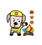 Labrador Bi IV（個別スタンプ：1）