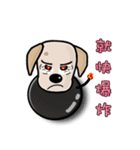 Labrador Bi IV（個別スタンプ：4）