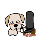 Labrador Bi IV（個別スタンプ：7）