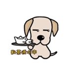 Labrador Bi IV（個別スタンプ：8）