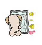 Labrador Bi IV（個別スタンプ：37）