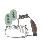 Daily what'z Cats（個別スタンプ：1）