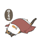 Daily what'z Cats（個別スタンプ：3）