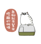 Daily what'z Cats（個別スタンプ：5）