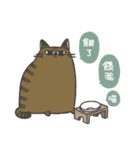 Daily what'z Cats（個別スタンプ：6）