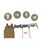 Daily what'z Cats（個別スタンプ：7）