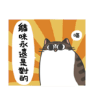 Daily what'z Cats（個別スタンプ：11）