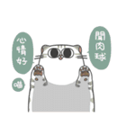 Daily what'z Cats（個別スタンプ：16）