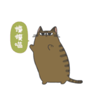 Daily what'z Cats（個別スタンプ：18）