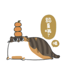 Daily what'z Cats（個別スタンプ：22）