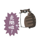 Daily what'z Cats（個別スタンプ：23）