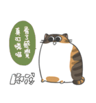 Daily what'z Cats（個別スタンプ：24）