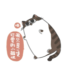 Daily what'z Cats（個別スタンプ：25）