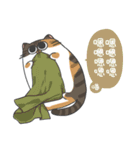 Daily what'z Cats（個別スタンプ：30）