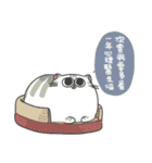 Daily what'z Cats（個別スタンプ：31）