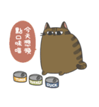 Daily what'z Cats（個別スタンプ：34）