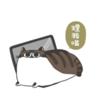 Daily what'z Cats（個別スタンプ：36）