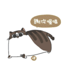 Daily what'z Cats（個別スタンプ：38）