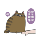 Daily what'z Cats（個別スタンプ：39）