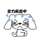 メンフィス犬（個別スタンプ：29）