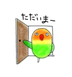 関西弁ボタンインコ モモとサクラ（個別スタンプ：8）