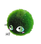 Little Marimo（個別スタンプ：17）