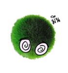 Little Marimo（個別スタンプ：32）