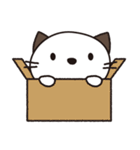 ラッキーキャット かめたん（個別スタンプ：35）