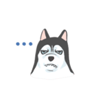 Ragdoll＆Huskies（個別スタンプ：8）