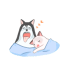 Ragdoll＆Huskies（個別スタンプ：31）