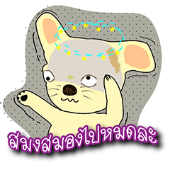 [LINEスタンプ] Tori and you