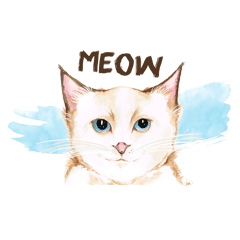 [LINEスタンプ] My Cat's Expression