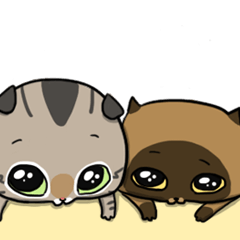 [LINEスタンプ] Master daily 2