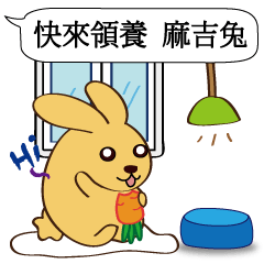 [LINEスタンプ] Chat raise rabbits Machi (brand new)