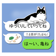 [LINEスタンプ] 猫はあまりしゃべらない Ver2 (吹き出し)の画像（メイン）
